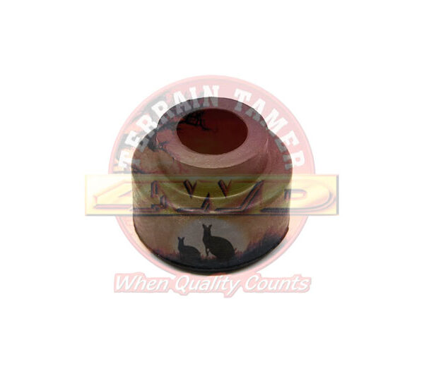 BUSH LEADING ARM TO CHASSIS