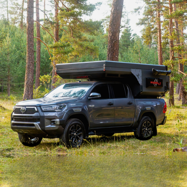 Alternative view of Cellule pick-up REBEL X