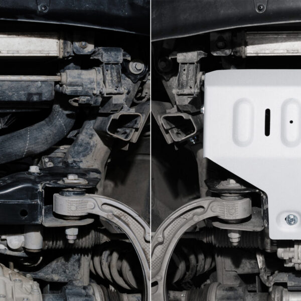 Alternative view of PLAQUE PROTECTION RIVAL RADIATEUR DODGE RAM 1500 2018-