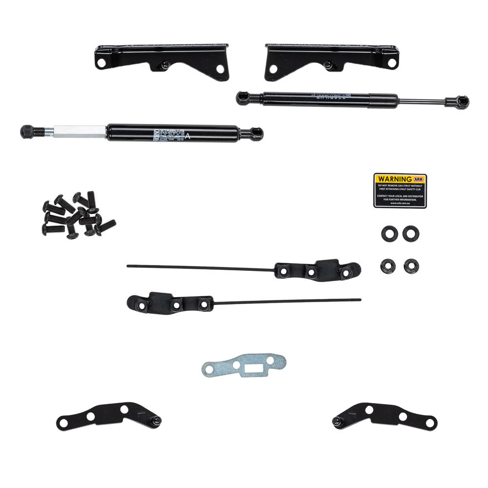 TAILGATE ASSIST SYSTEM