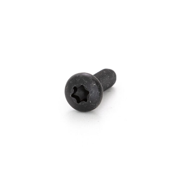 M6 X 20 Pan Head T30 Screw Black - 4 Pack Rhino Rack