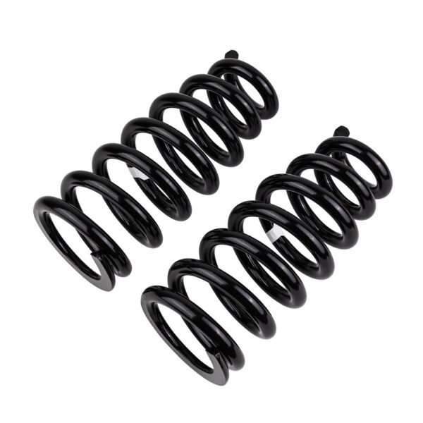 Alternative view of COIL SPRING - La Paire