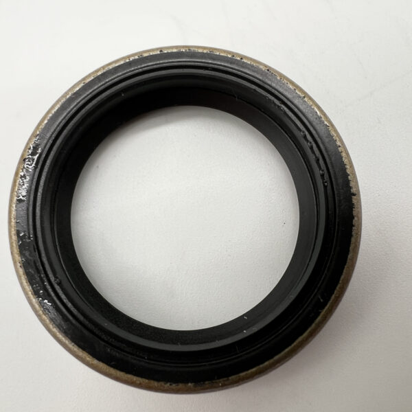 Alternative view of BAGUE ANTIFUITE