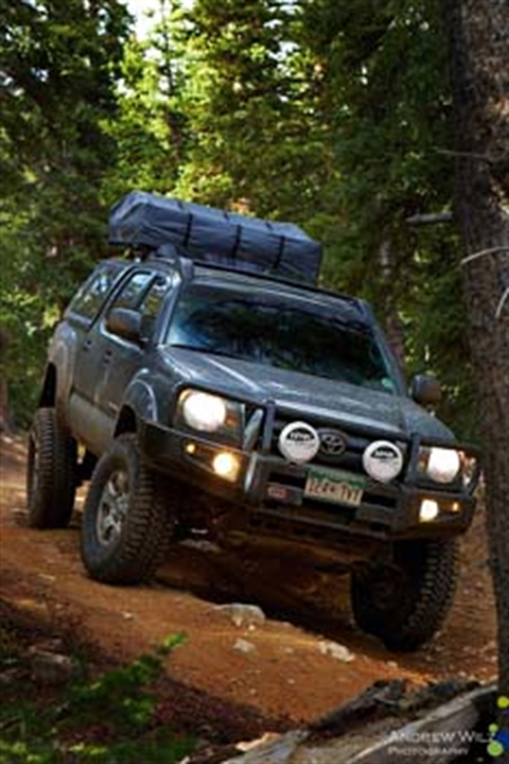 WINCH BAR TACOMA 05ON W/SAHARA INSERTS