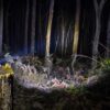 Lampe torche ARB 800 lumens