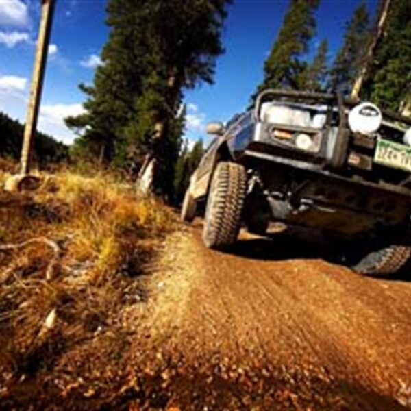 WINCH BAR TACOMA 05ON W/SAHARA INSERTS – Image 3