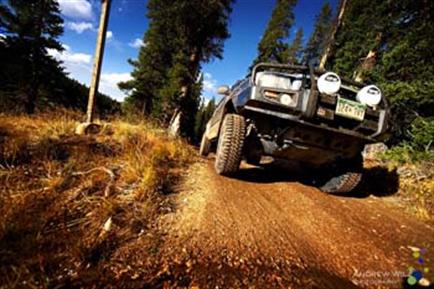 WINCH BAR TACOMA 05ON W/SAHARA INSERTS – Image 3